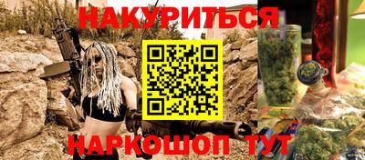 СК Кингисепп