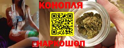 ПСИЛОЦИБИНОВЫЕ ГРИБЫ Кинель