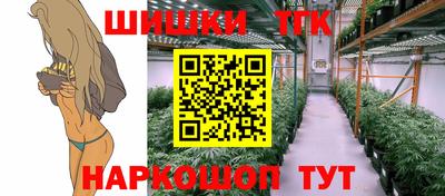 СК Кингисепп