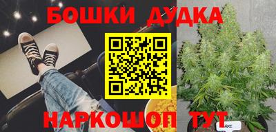 ПСИЛОЦИБИНОВЫЕ ГРИБЫ Кинель