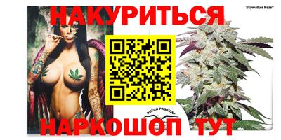мдпв Кимры