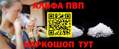 СК Кингисепп