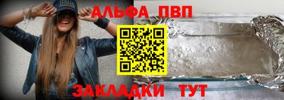 СК Кингисепп