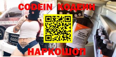 СК Кингисепп