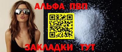 СК Кингисепп